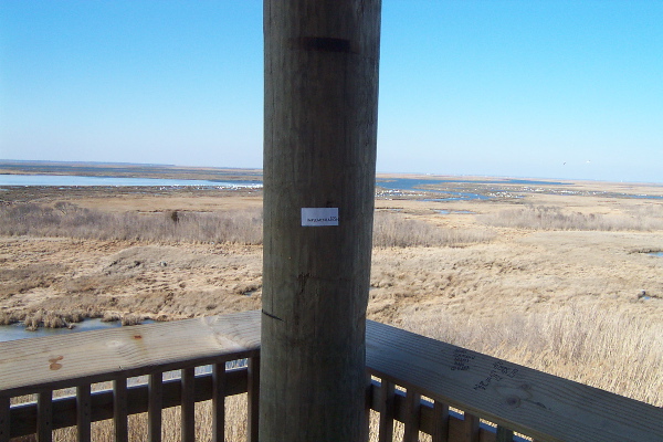 Implementation sticker in Brigantine New Jersey